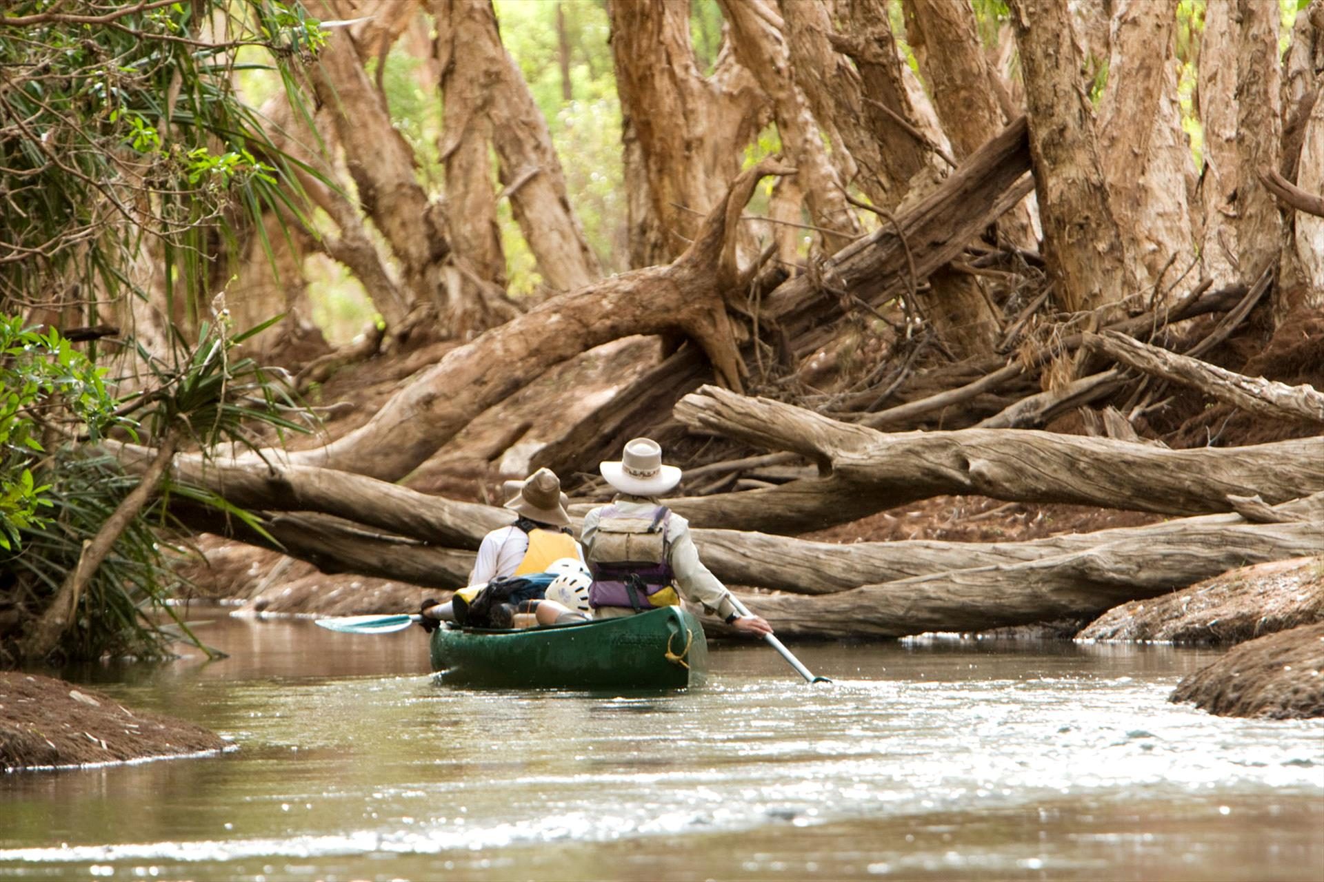 Gecko Canoeing and Trekking, Katherine, Northern Territory, photo 4