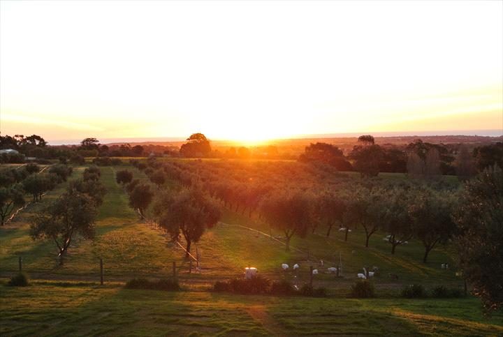 The Farm Willunga — Willunga, SA