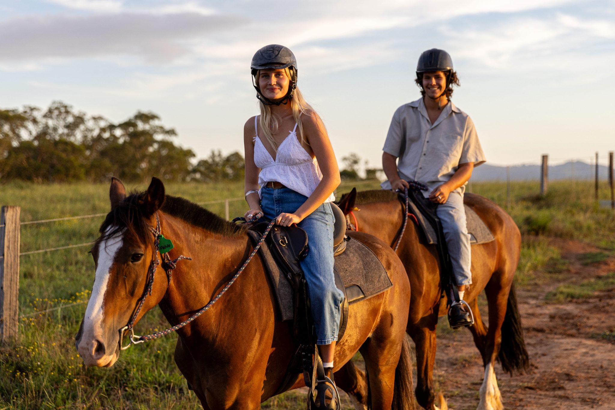 Hunter Valley Horses