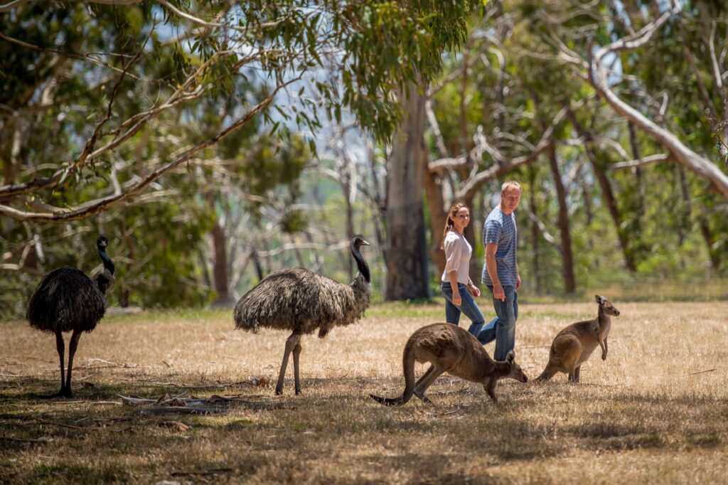 PureSA, Glynde, South Australia, photo 6