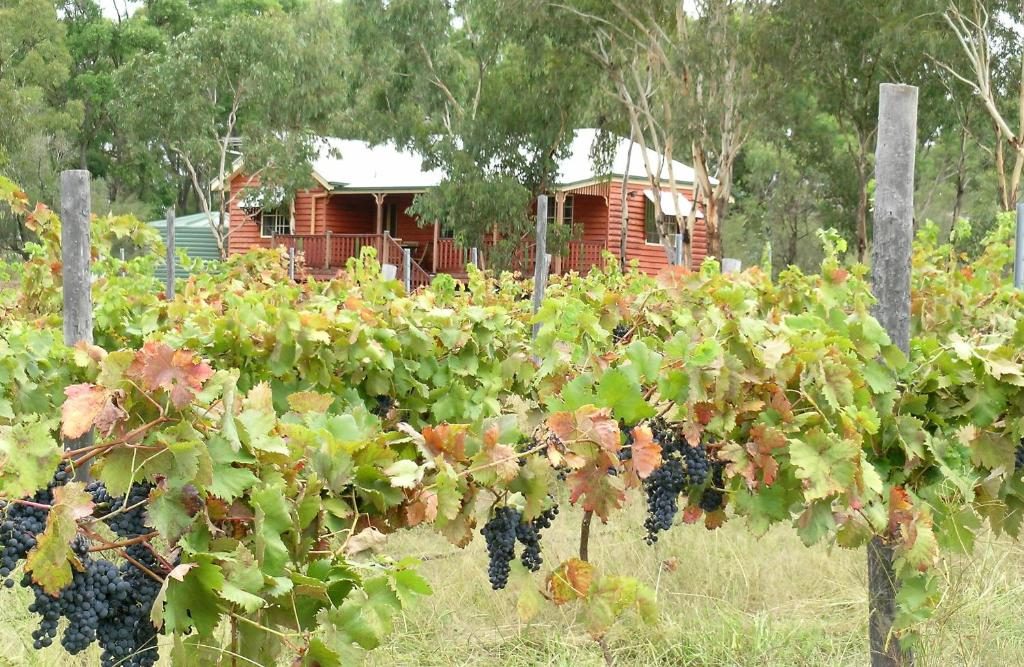Fergies Hill Cottage in Ballandean, QLD — photo 4