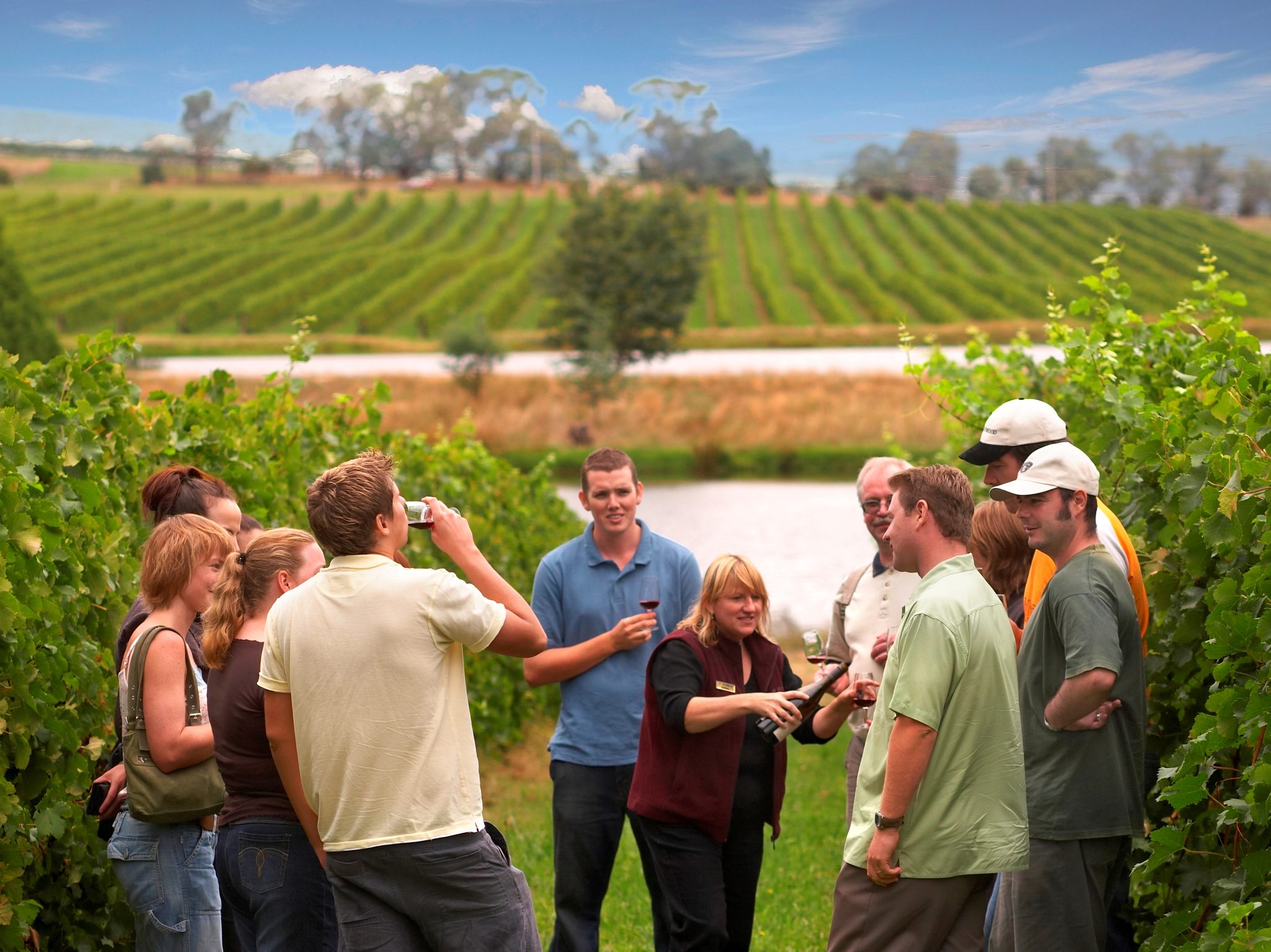 Australian Wine Tour Company