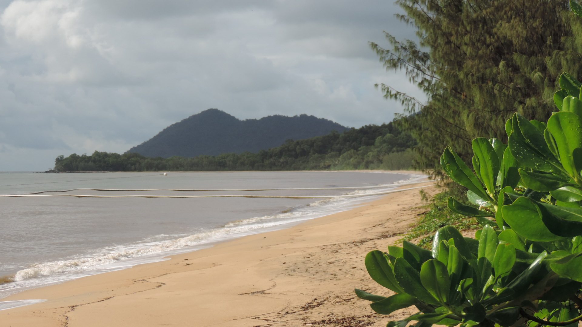 Bramston Beach Campground in Bramston Beach, QLD — photo 1