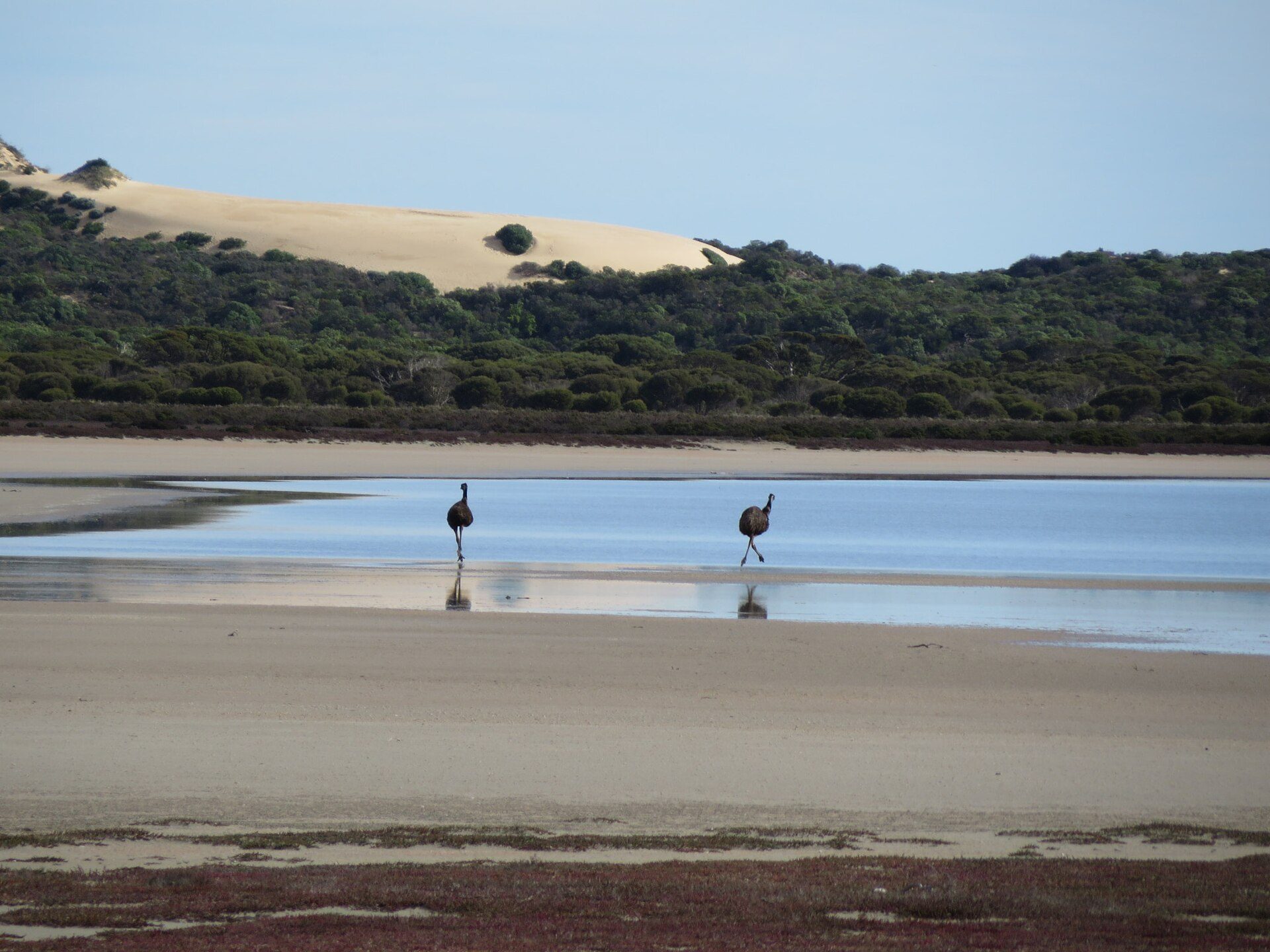 Parnka Point Camping Area in Coorong, SA — photo 2