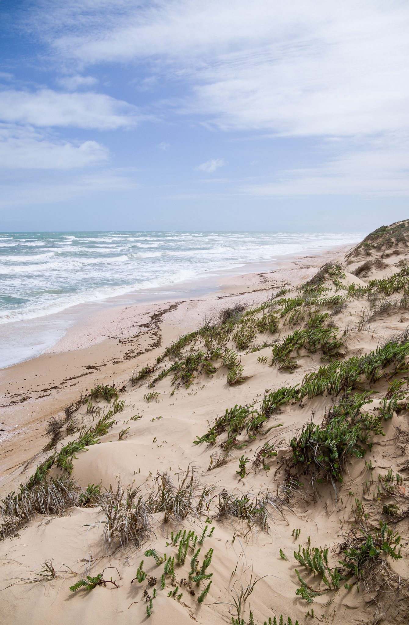 Parnka Point Camping Area — Coorong, SA