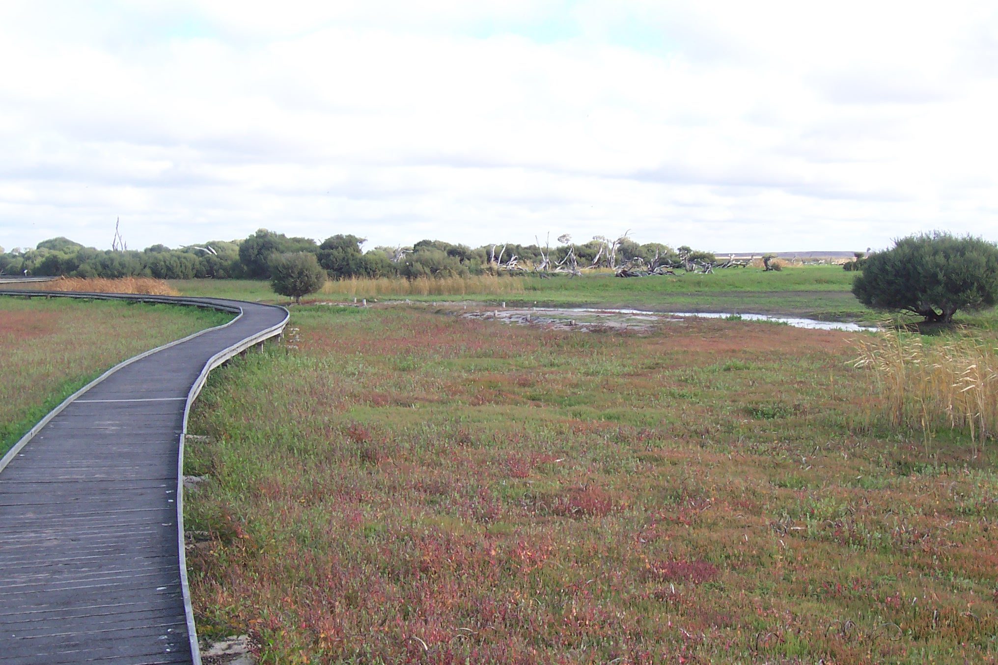 Bool Lagoon Game Reserve - Image 2