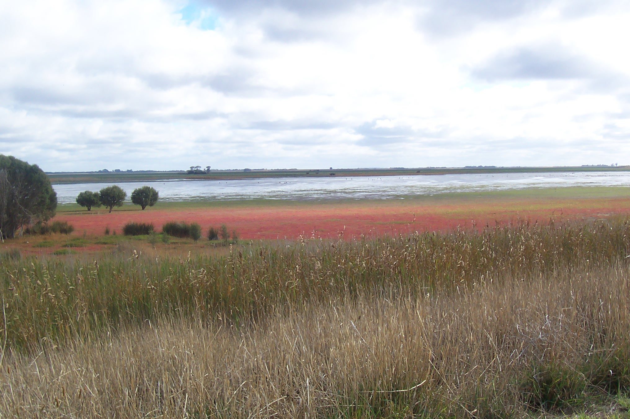 Bool Lagoon Game Reserve - Main image