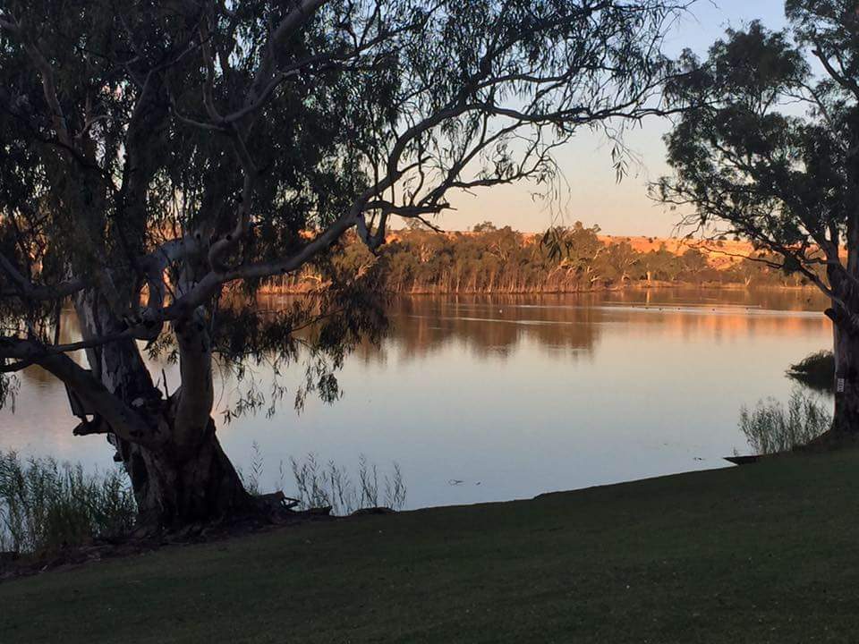 Punyelroo Caravan Park in Punyelroo, SA — photo 5