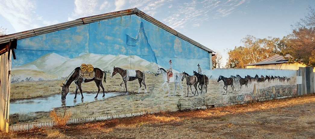 Camooweal Roadhouse Caravan Park - Image 5