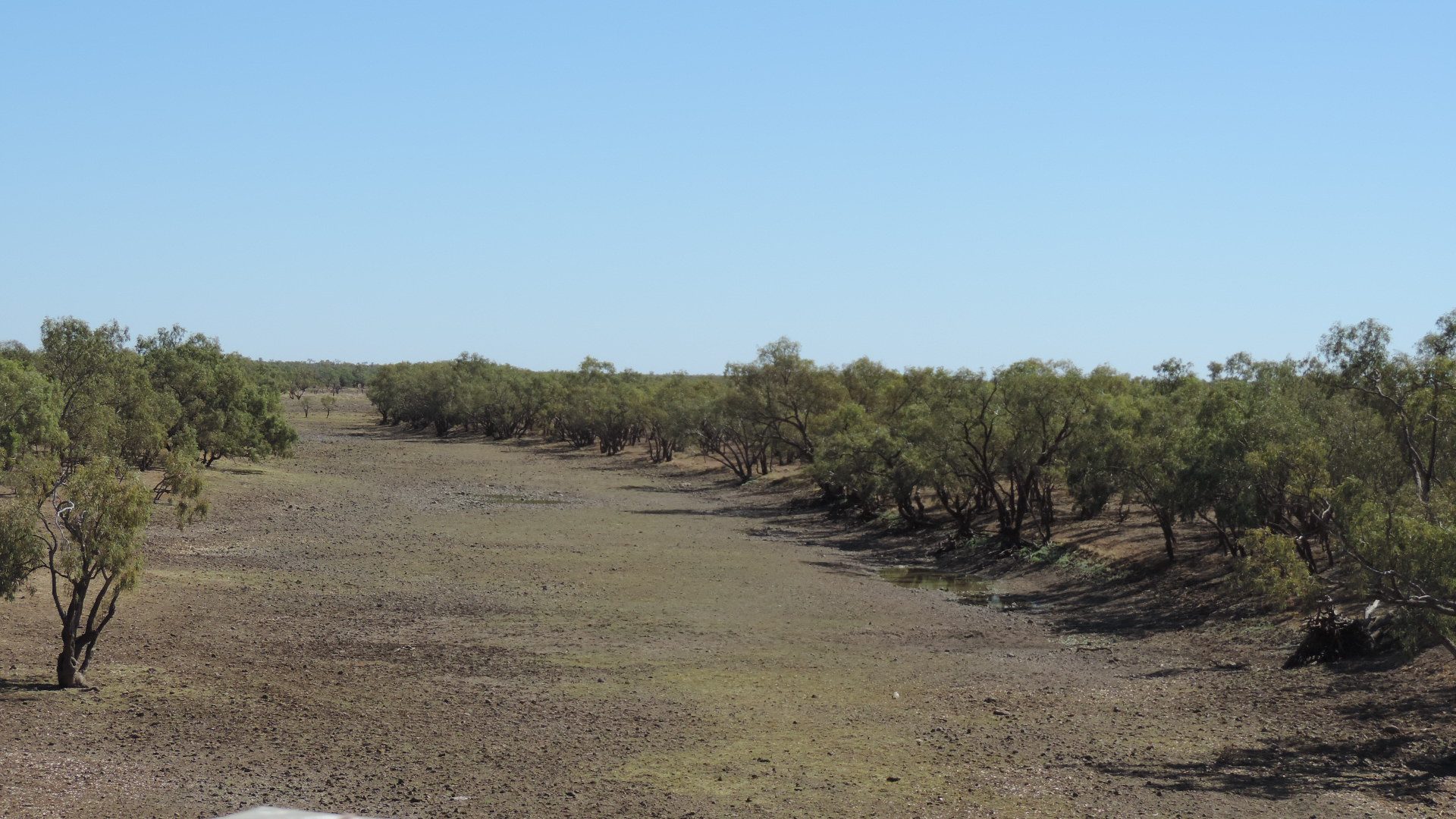 Camooweal Billabong Lake Francis and Lake Canellan Camping Areas — Camooweal, QLD